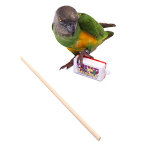 Parrot Wizard Clicker & Target Stick